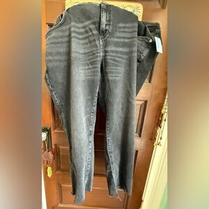 NWT Pilcro Women’s plus size 24w jeans.
